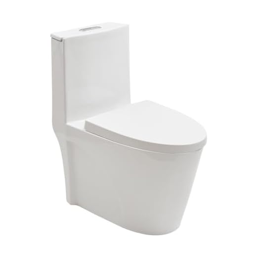 Pingoo.casa, Vaso Sanitário Monobloco Painita - Branco