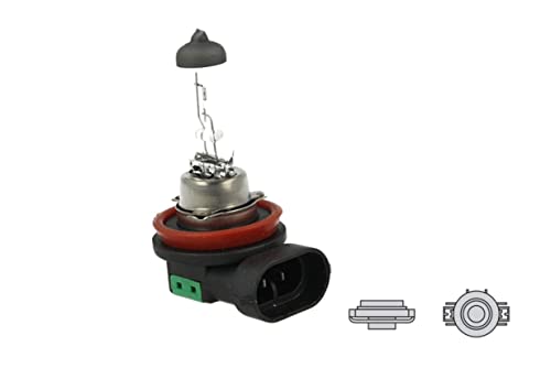 10 Pezzi Lampada Alogena 12V per Auto (H16 12V 19W...