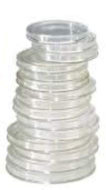 Petit Matériel Capsules Monnaies CAPSULES pour PIECES de 26 mm - Boite