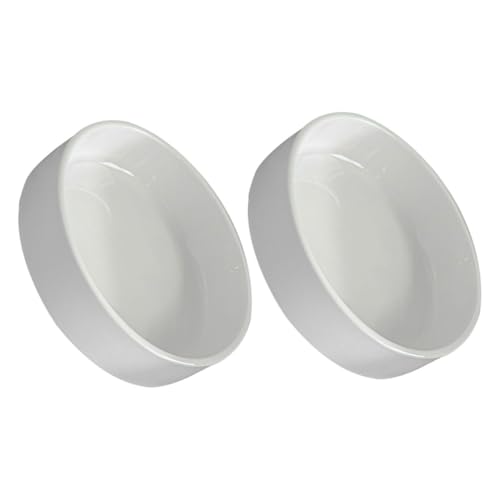 Parliky 2pcs Ceramic Plant Saucer Tray Round Flowerpot Holder for Water Leakage Prevention Durable Desktop Base for Bonsai Pots for Plant Care Indoor Decor