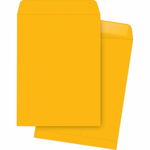 BSN42101 - Business Source Plain Catalog Envelope