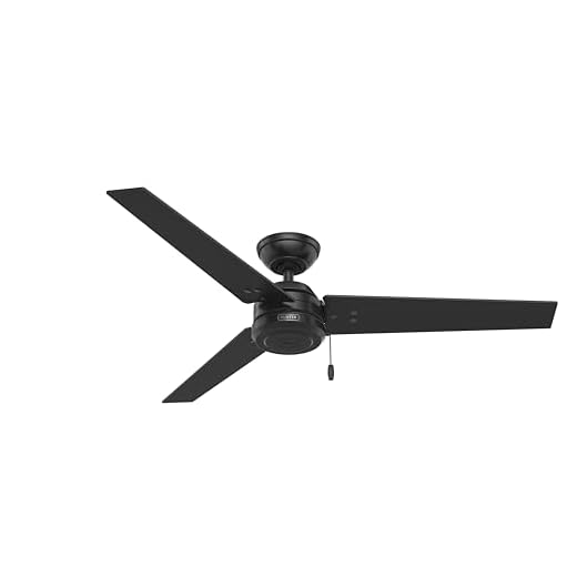 Hunter Cassius Indoor / Outdoor Ceiling Fan with Pull Chain Control, 52", Matte Black