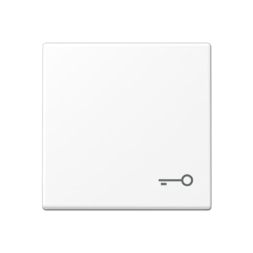 Preisvergleich Produktbild Jung A590TWWM Türsymbol-Taste weiß matt