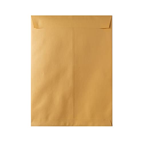 Hilroy 76144 Kraft Envelopes, 9x12-Inch, 25-Count image 3