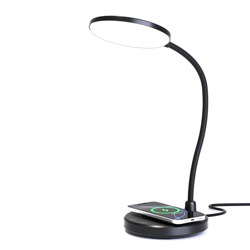 Desk Lamp for Home Office, Small Desk Lamp - image 9