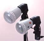 2 Strobe Kit for Home Studio Complete with Umbrellas and Stands