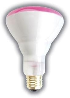 BR30 PINK FLOODLIGHT BULB 65 WATTS 10,000 HOURS LONG LIFE MEDIUM BASE 130 VOLTS PINK LIGHT BULB