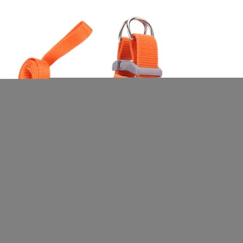 sp Lp n[lX - \ Up Lp n[lX,^^^ ybgpxXg Ug[jOsAEghApi