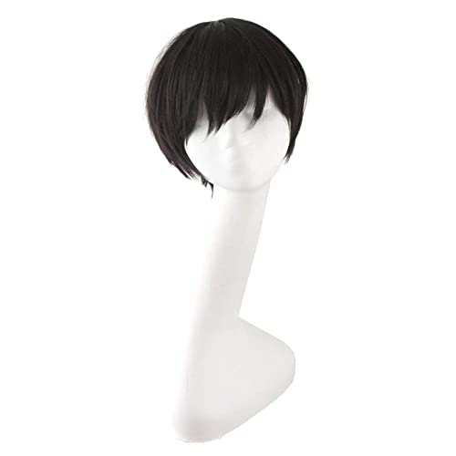Image of straight men wig