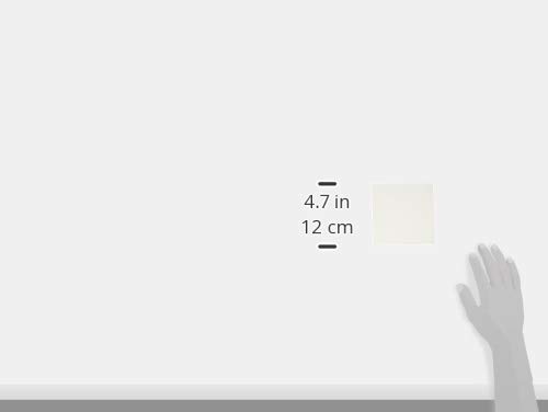 Amazon.co.jp: LUTRON グラフィックアイ QS 低負荷容量