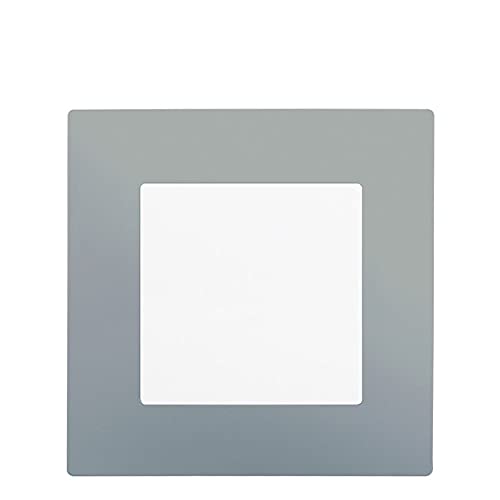 Va et Vient Blanc Delta Viva + Plaque Silver