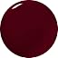 Elderberry