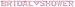 Amscan Bridal Shower - Large Foil Letter Banner, 6' x 6-1/4", Pink