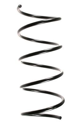 Preisvergleich Produktbild SPIDAN 85191 Fahrwerksfeder