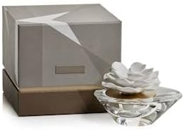 Zodax Grapefruit Flower - Dream Mini Mini Porcelain Diffuser