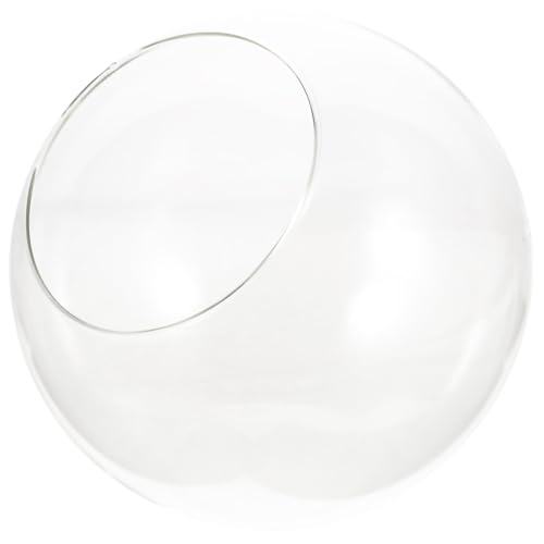 BESPORTBLE Botella Ecológica Largo Terrario Globo Redondo Decoración De Burbujas Terrario De Plantas Suculentas Cuencos Redondos para Acuarios Kit De Terrario Equipo Pecera Clara Vidrio