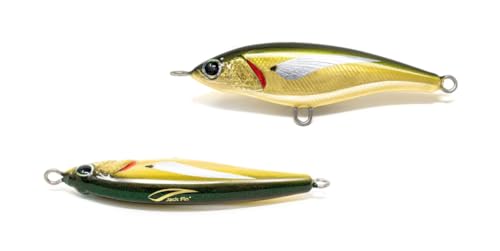 Jack Fin Pelagus 75 S Lagoon pour vos sessions de peche matinales en mer calme et claire