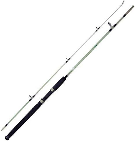Canne rotative en fibre de verre action fluide pour appât carpe