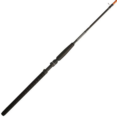 Catfish Fishing Rod Catfish Fishing Rod Selection: Heavy-Duty Requirements &#038; Options