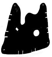 Coprimotore Inferiore-image