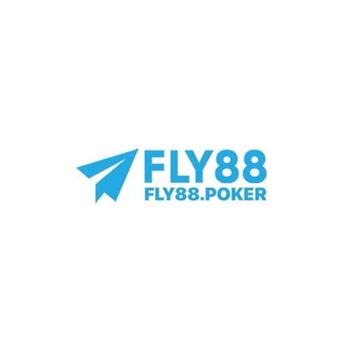 FLY88 cover art