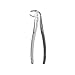 Extraction Forceps Lower Molars