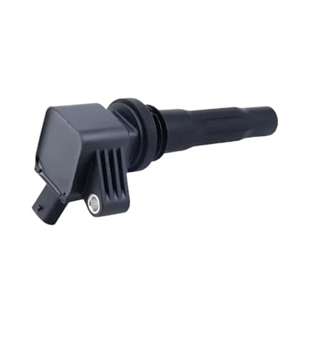 Bobines d'allumage F01R00A113 résout le ralenti instable 10239858