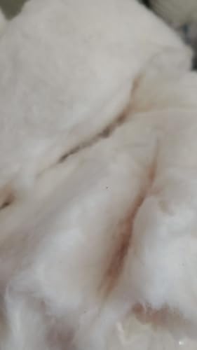 Algodão impermeável 200g para proteçao de ouvido de cães e gatos.