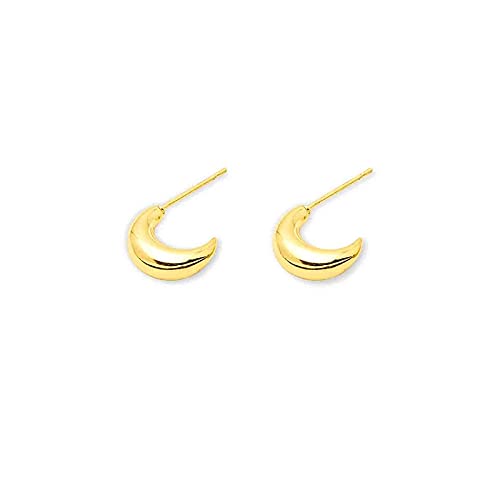 WBDWWTD Orecchini a Forma di Mezzaluna in Argento Sterling per Donne Orecchini penetranti Orecchini Gioielli Pendientes