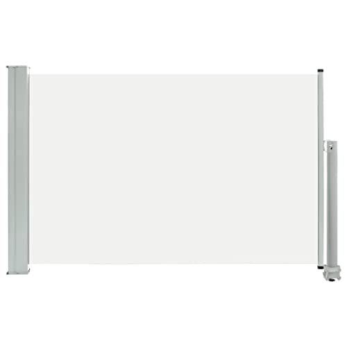 vidaXL Toldo Lateral Retráctil 60x300 cm