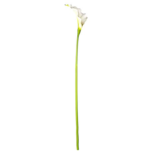 EUROCINSA Ref.70058C01 WHITE CALA, Box of 6pcs, 105cm