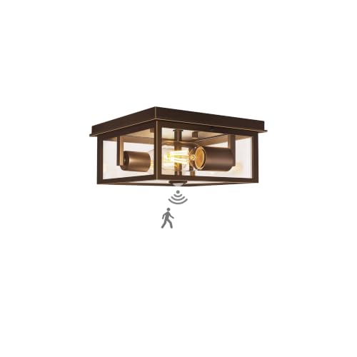 Motion Sensor Outdoor Ceiling Light with Remote, 8.5 Inch Brown and Gold Flush Mount Porch Light Fixture with United Glass Cover, 5 Modes Outside Flush Mount Light for Porch, Garage, Entryway