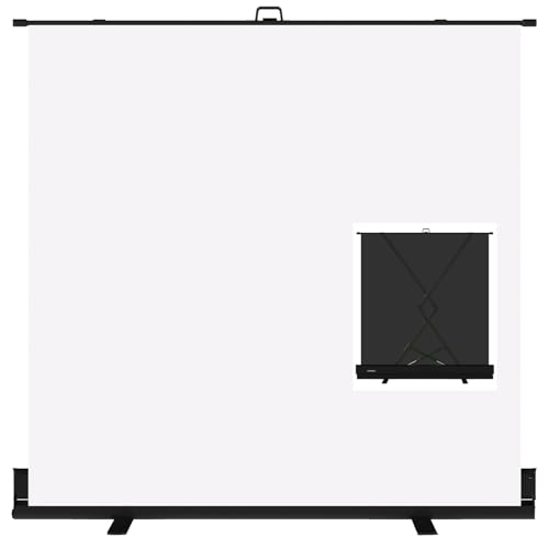 LIHONG Large White Screen Collapsible Chroma Key Backdrop,Portable Retractable Photo Background with Stand for Video, Live Game,Streaming,Wrinkle Resistant Fabric,Pull-up&Down Style (78.7x78.7 in)