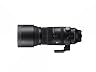 シグマ 150 - 600 mm F 5 - 6 . 3 DG DN OS [ ライカ L 用 ]