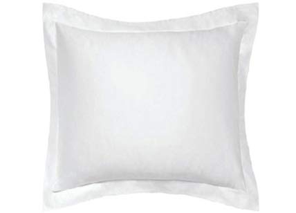 R.T. Home - �G�W�v�g���������ȃz�e���i���N�b�V���� �J�o�[(�N�b�V�����J�o�[ 60 60) �x�b�h�܂��̓\�t�@�p 500�X���b�h�J�E���g ��(�z���C�g) 60*60CM