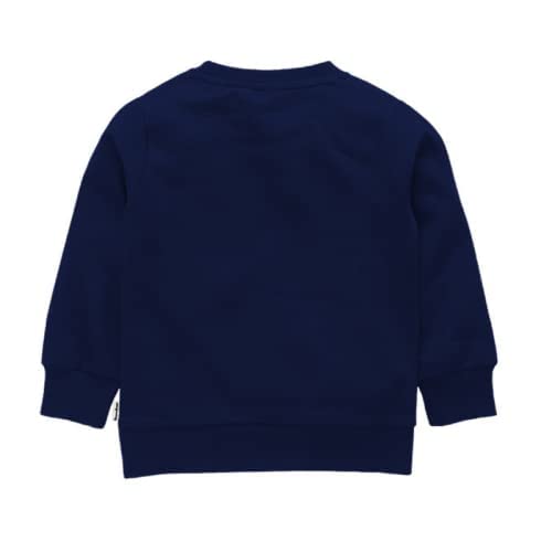 Image of Boy's Fleece Cotton Hoodies Sweatshirts (Pack of1)