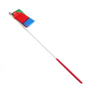 Dansen Streamer, Gymnastiek Danslint 4m Charmante Decoratie Ritmische Danslint voor Twiriling voor Gymnastiek