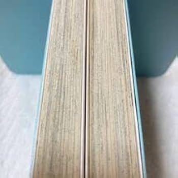 Amazon.co.jp: ねこ・ねこ・幻想曲 15巻＋16巻 高田エミ 初版 ねこねこ