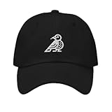 Bird Darts Dad Hat Black