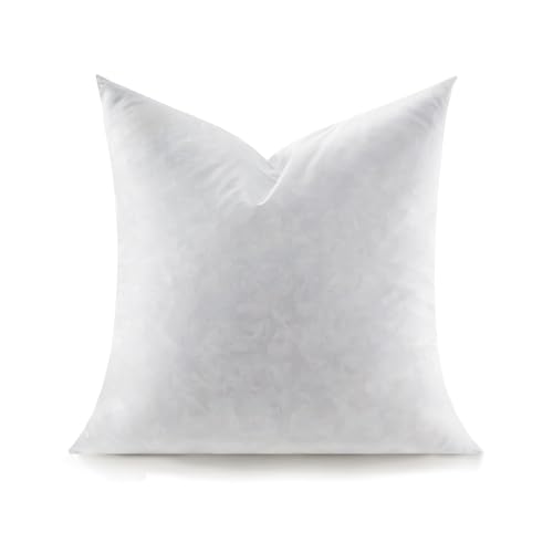 Swandream Feather Throw Pillow Insert, Soft Fluffy Square 18 x 18 Inches Decorative Pillow Insert, Feather and Down Euro Pillows for Bed, Couch and Cushion
