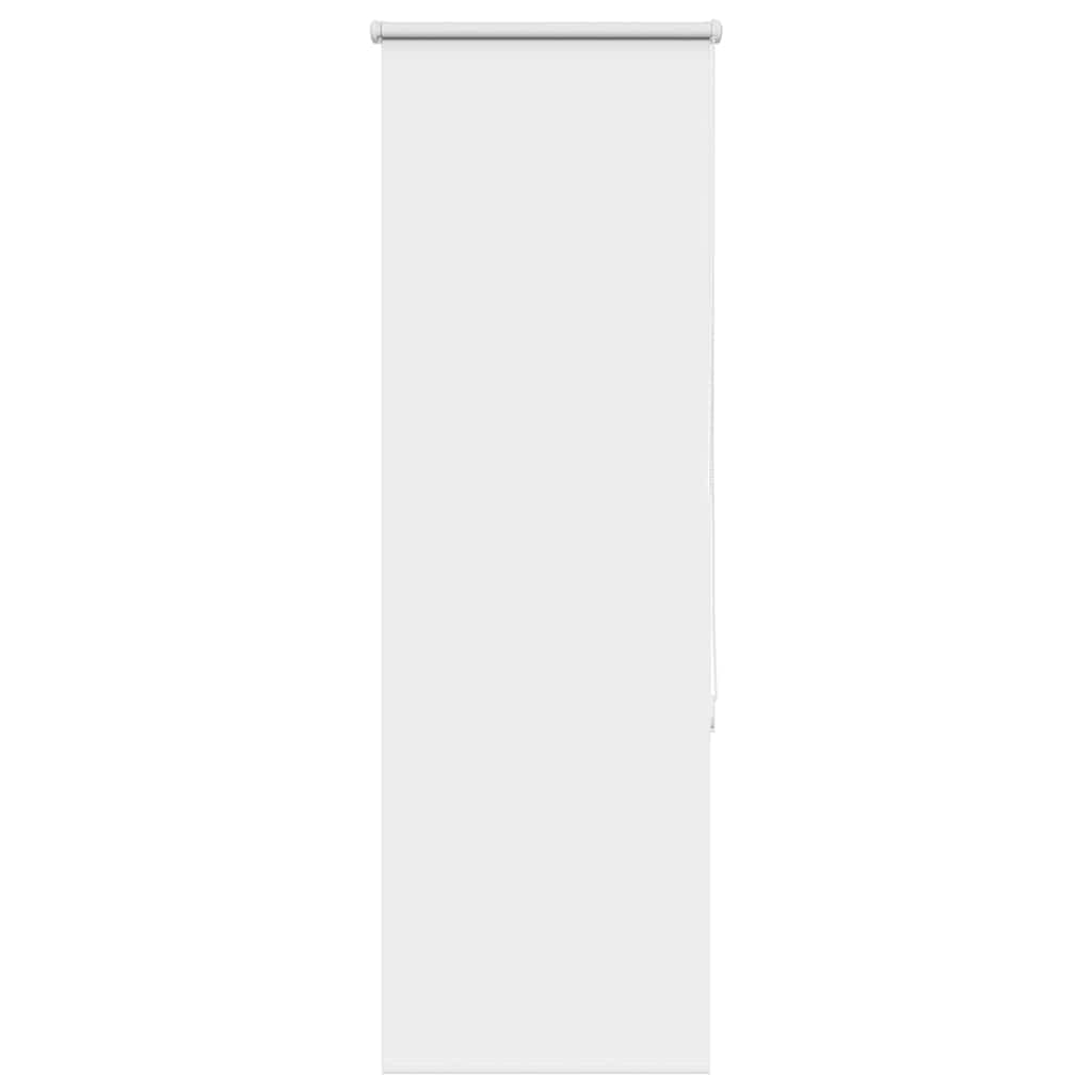 vidaXL Estor Enrollable Opaco Blanco 55x150 cm Tela Ancho 55,​7 cm, Estor día y Noche, Estor de Cocina, Estor Opaco Enrollable, Estor Opaco