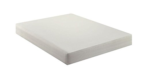 Best Poundex Memory Foam Mattresses