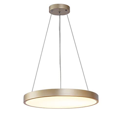 Chandelier créativité et personnalité artistique ronde en suspension LED