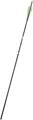 Flèches Gold Tip Velocity Hunter 300 flèche carbone tir à l'arc lot de 6