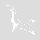 Mister Petlife Border Collie Frisbee Disc Dog Sticker Vinyl Auto Window v3