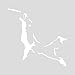 Mister Petlife Border Collie Frisbee Disc Dog Sticker Vinyl Auto Window v3
