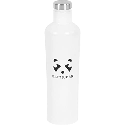 Bouteille d'eau en acier inoxydable : gourde réutilisable 750ml étanche