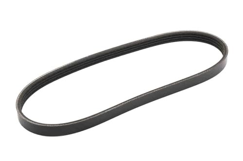 Courroie ACDelco 25195582 pour pompe de direction assistée GM Original Equipment
