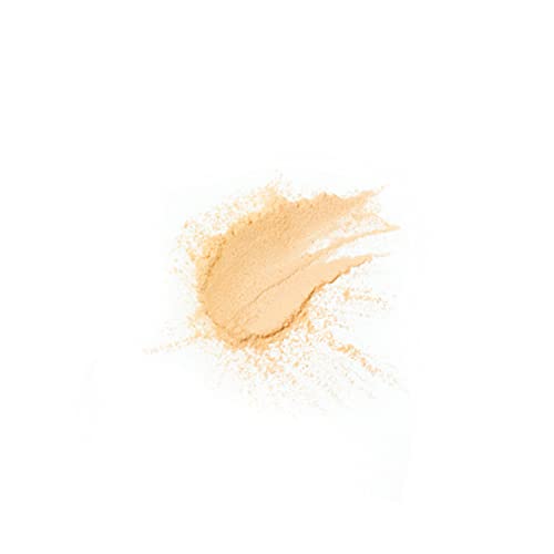 Image of PAC Translucent Powder 05 - Controls Shine, Prevents Flashbacks, Lightweight Setting Powder