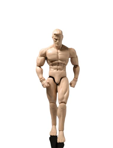 1/12 Männliche Actionfigur ,Starker muskulöser Körper 16cm Mann Soldat Super Flexible Action Figur für Custom Sketch Praxis Fit 6" Action Figur Puppe Cover